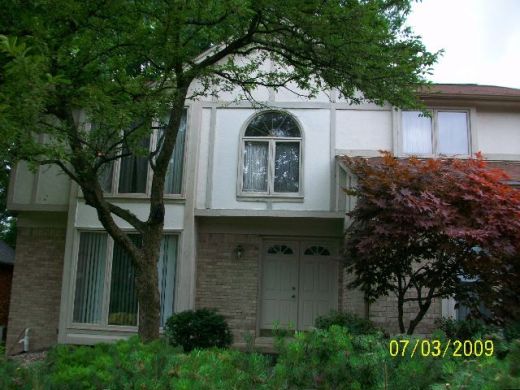 Replacing-Wall-Panels-Suffering-Water-Damage-From-Overgrown-Trees-Too-Close-To-The-House-ParR1-103-Picture-10