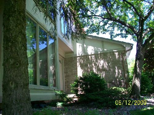 Replacing-Wall-Panels-Suffering-Water-Damage-From-Overgrown-Trees-Too-Close-To-The-House-ParR1-103-Picture-4